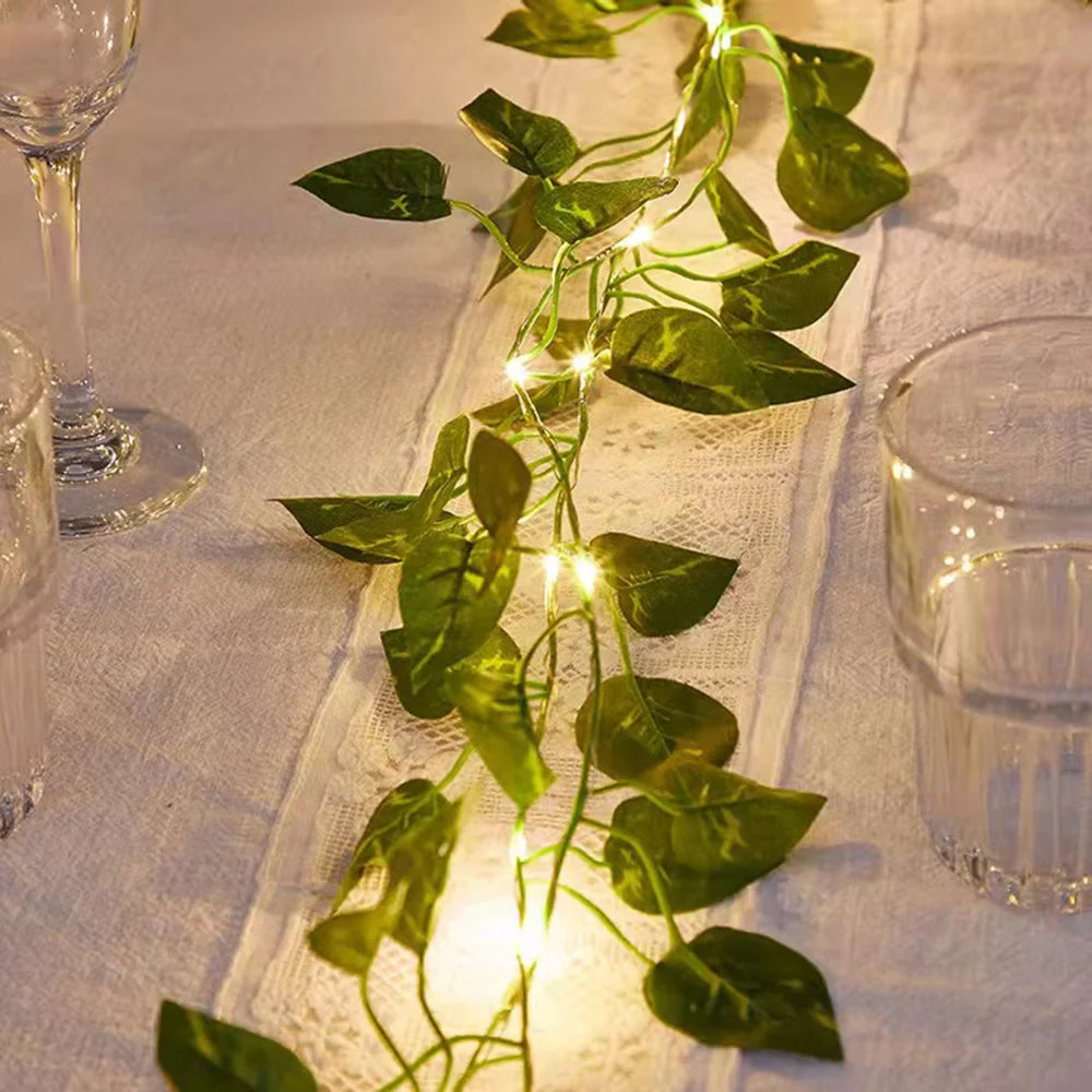 Vine Pixie Lights