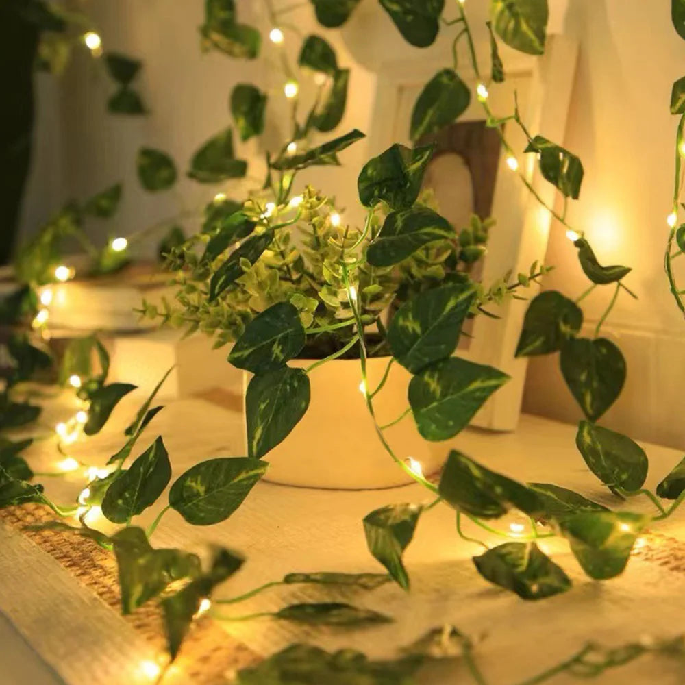 Vine Pixie Lights